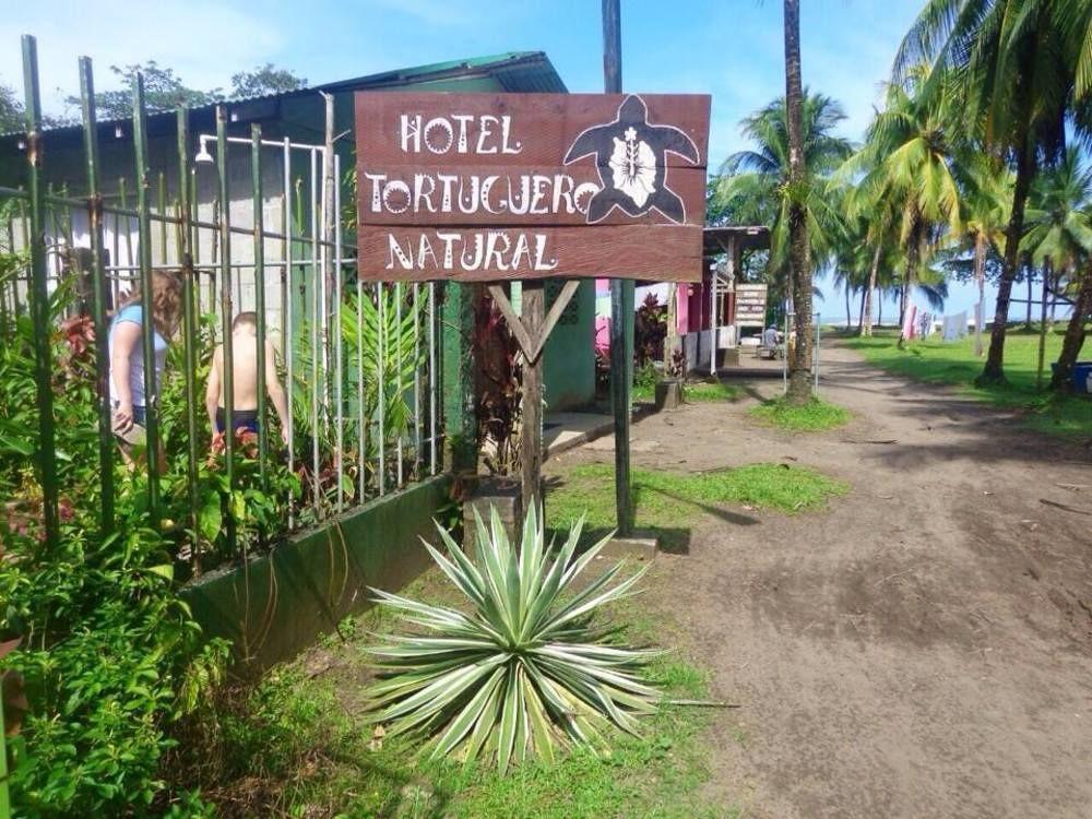 Cabinas Tortuguero Natural Exteriör bild
